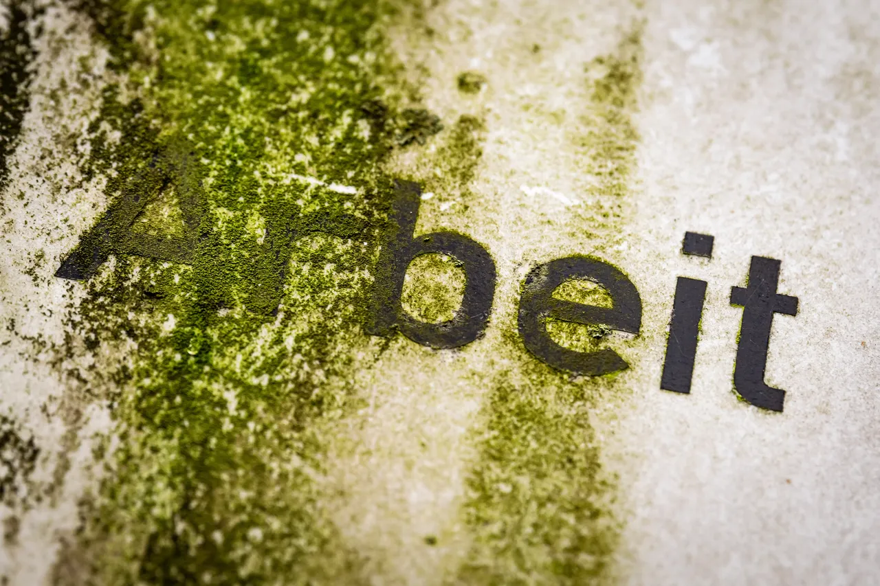 IAB-Studie: Arbeitslosigkeit wird 2025 in allen Bundesländern steigen